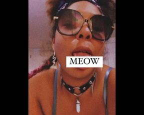 MEOW MEOW