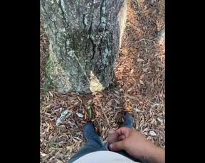 Pissing on and off a tree! Gone right !